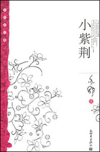 优秀书籍封面设计欣赏