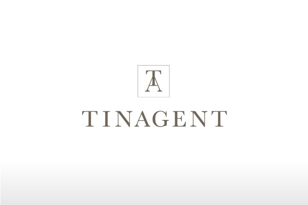 tinagentӰVI,ƽ